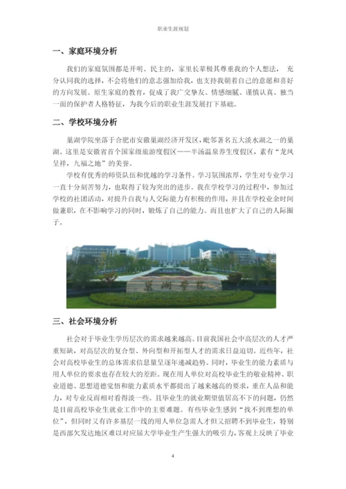 12页4900字汉语言文学专业职业生涯规划.docx