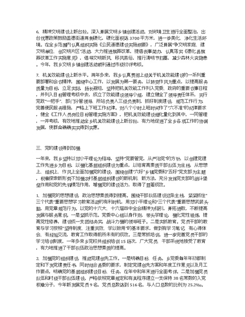 xx年度工作总结（乡镇）
