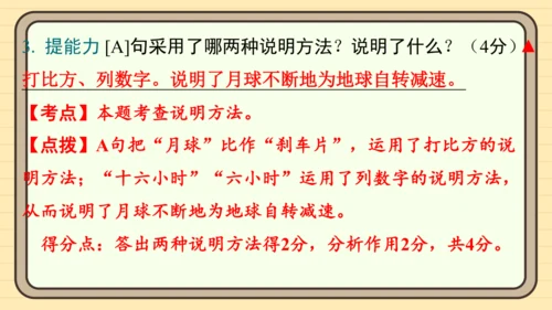 统编版语文六年级上册主题八　科学智慧 阅读与写作指导课件