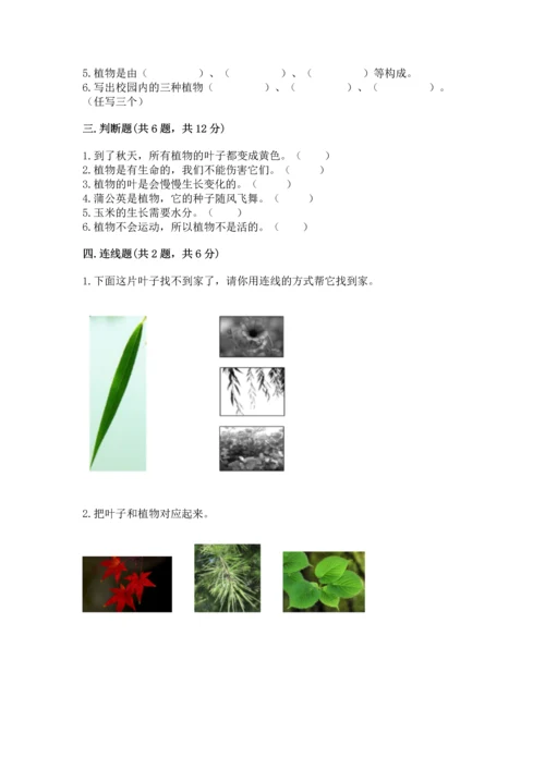 教科版科学一年级上册第一单元《植物》测试卷含完整答案（考点梳理）.docx