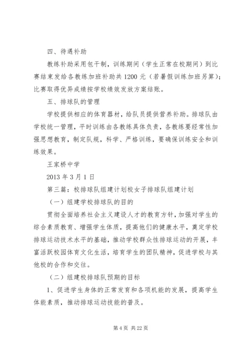 排球队组建计划.docx