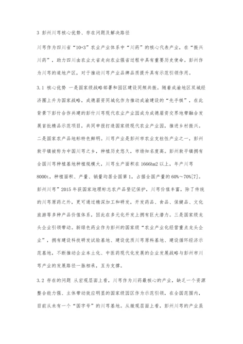 中药材品牌与中药材品质价值提升路径研究.docx