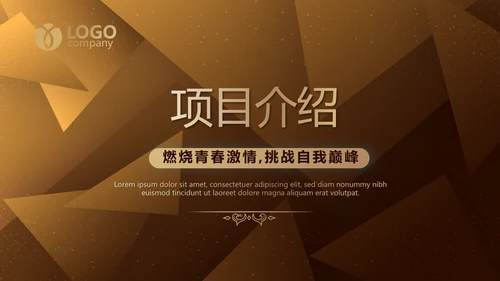 高端霸气创业融资计划书商业计划书动态PPT模板