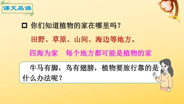 3 植物妈妈有办法  课件