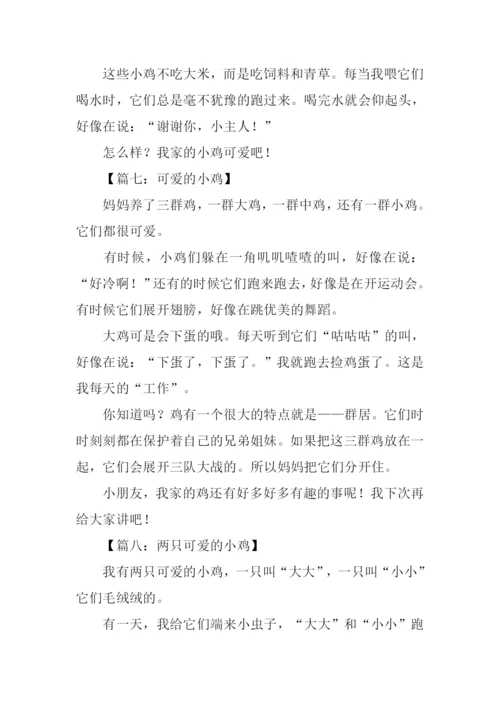 小鸡作文200字0.docx