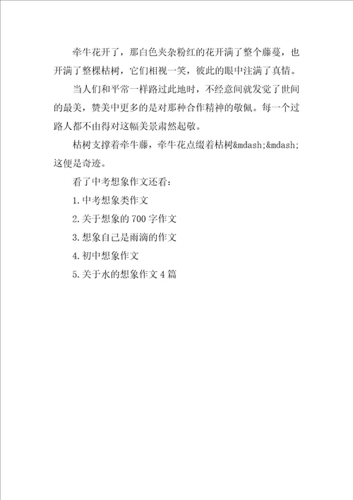 中考想象作文