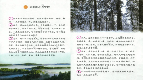 第20课《美丽的小兴安岭》课件