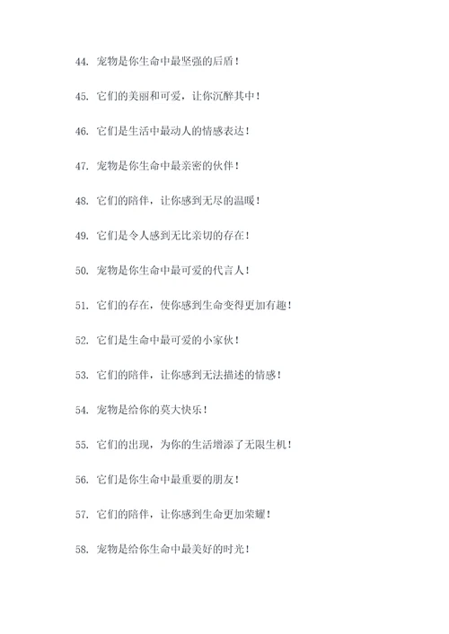 买宠物的标语