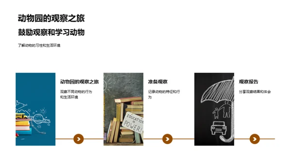 探秘动物世界