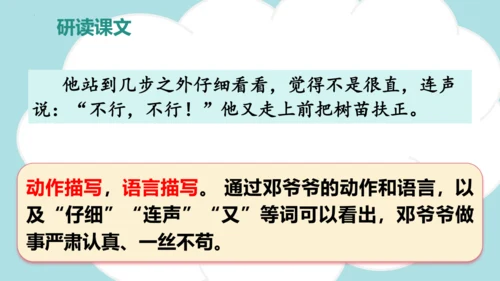 第4课 《邓小平爷爷植树》（教学课件）