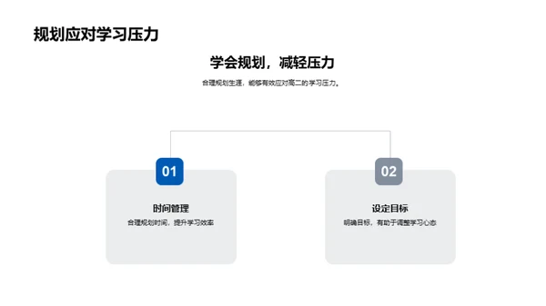 启航未来：高二生涯设计