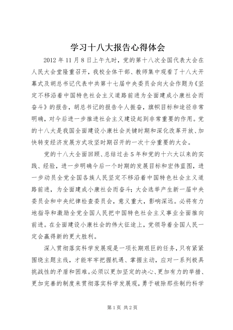 学习十八大报告心得体会 (13).docx