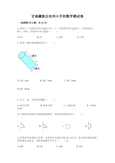 甘南藏族自治州小升初数学测试卷参考答案.docx