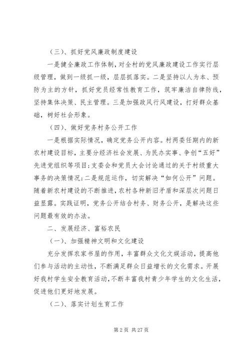 村支部书记XX年工作计划 (2).docx