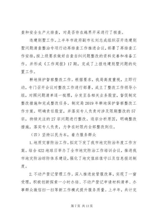 市自然资源局XX年上半年工作总结和下半年工作计划.docx