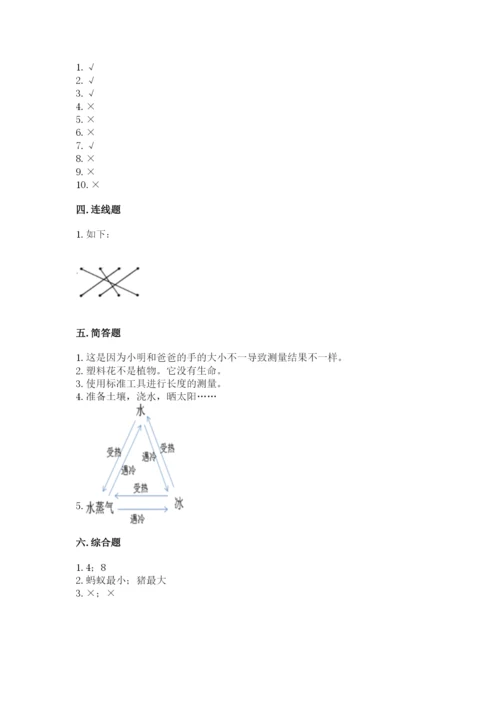 教科版一年级上册科学期末测试卷附答案（夺分金卷）.docx