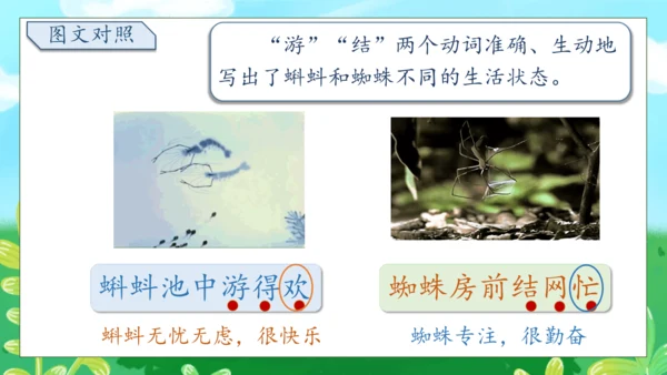 【核心素养】部编版语文一年级下册-识字5. 动物儿歌 第2课时（课件）