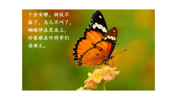 1《大青树下的小学》(课件)
