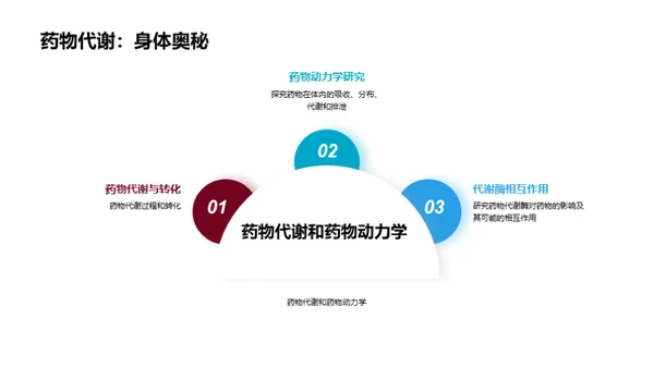 药物化学：从理论到实践