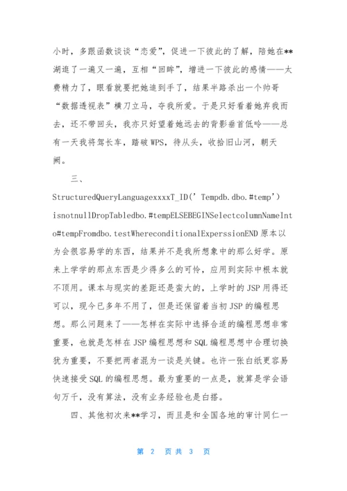 [计算机审计初级班培训学习体会].docx