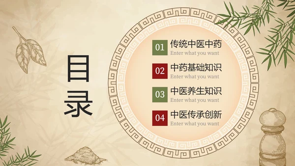 简约手绘中国风中医中药传统养护理普PPT模板
