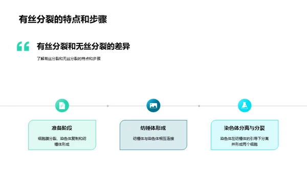 揭秘细胞分裂的奇妙之旅