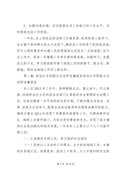 乡镇综治办专职副主任述职述廉报告.docx