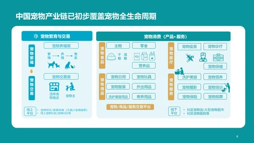 2022年中国宠物消费调研报告