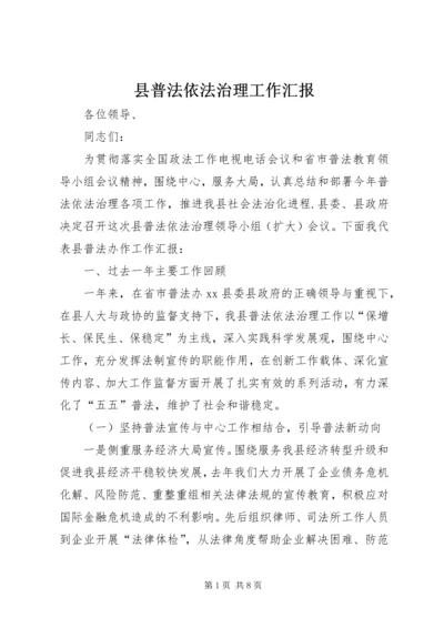 县普法依法治理工作汇报.docx