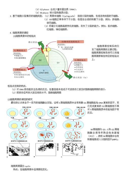 高中生物竞赛细胞的生活