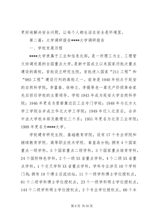 大学安全调研报告.docx