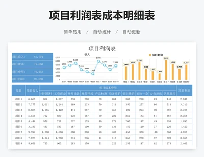 项目利润表成本明细表