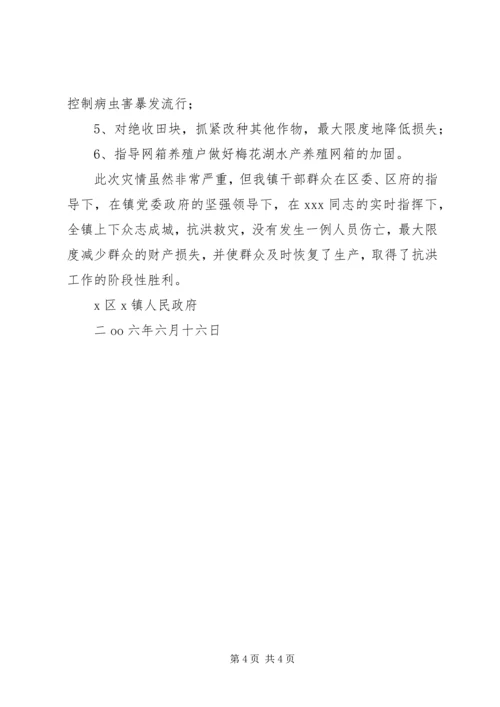 乡镇政府抗洪抢险个人先进事迹材料.docx