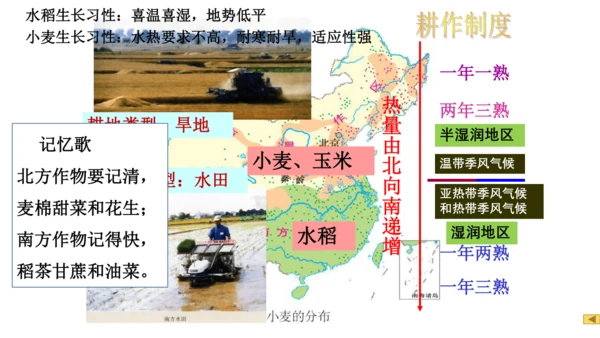 人教版（人文地理） 下册4.3.1 秦岭—淮河分南北 课件