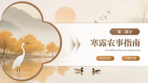棕色系中国风寒露节气知识PPT模板