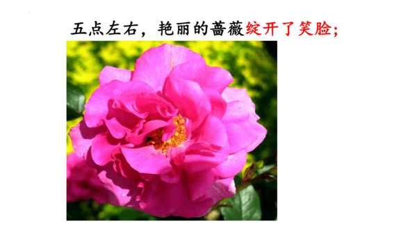 13《花钟》（课件）