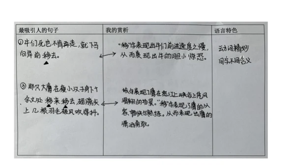 7 溜索 课件（共25张PPT）