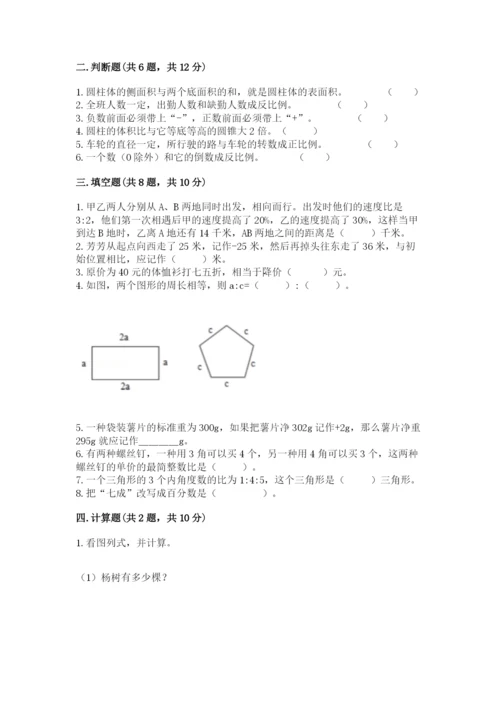 长岭县六年级下册数学期末测试卷审定版.docx