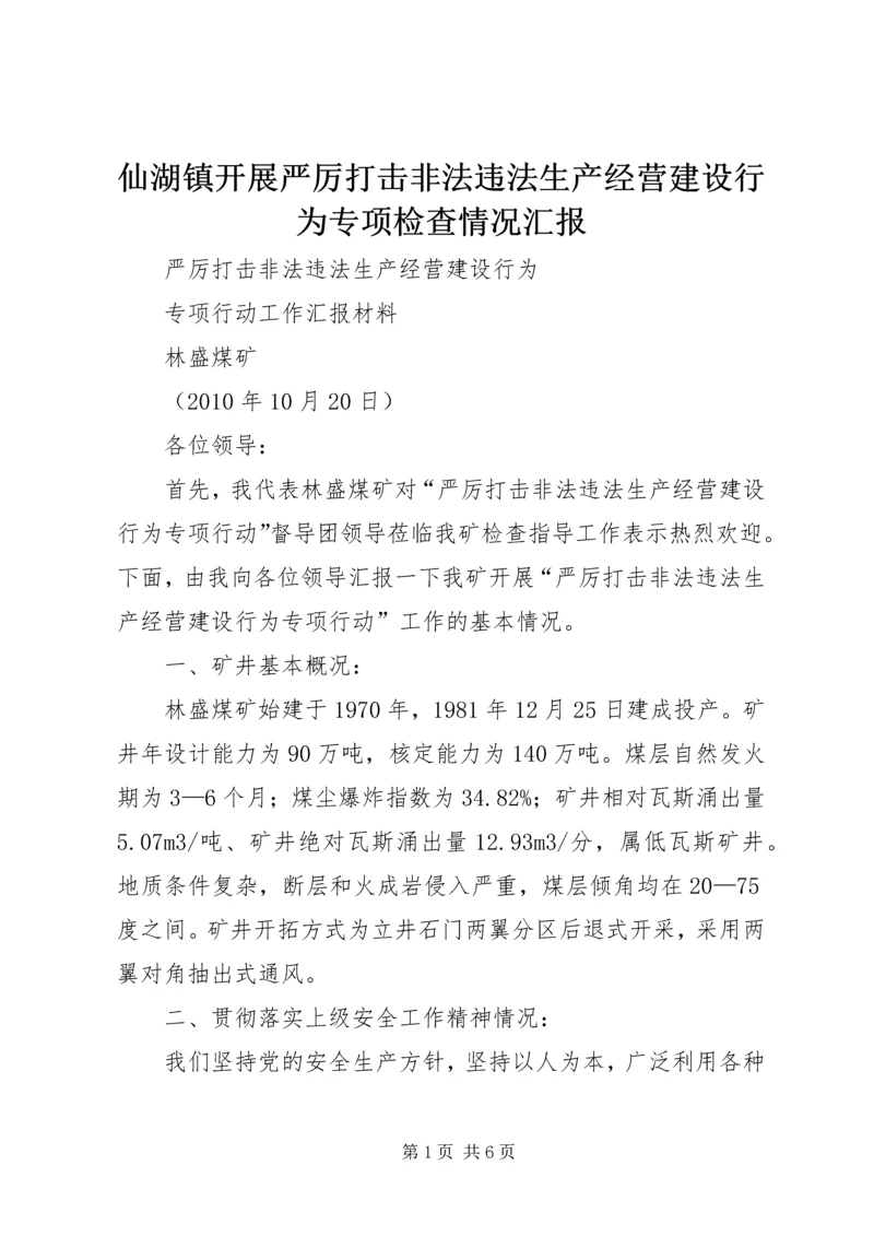 仙湖镇开展严厉打击非法违法生产经营建设行为专项检查情况汇报.docx