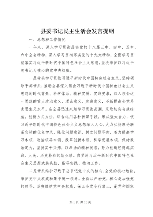 县委书记民主生活会发言提纲.docx