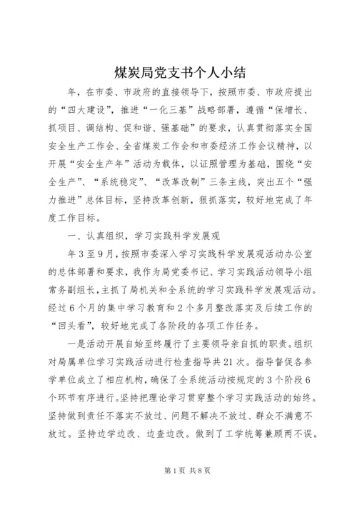 煤炭局党支书个人小结 (3).docx