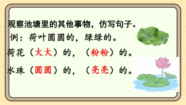 12 荷叶圆圆（课件）
