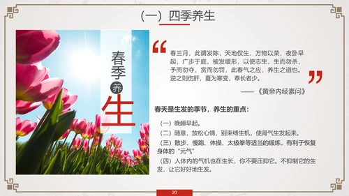 养生知识与健康管理PPT模板