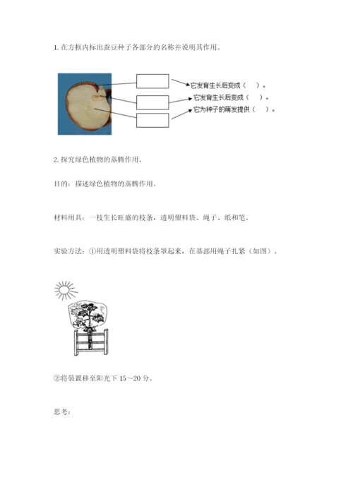 科学四年级下册第一单元植物的生长变化测试卷附完整答案【考点梳理】.docx