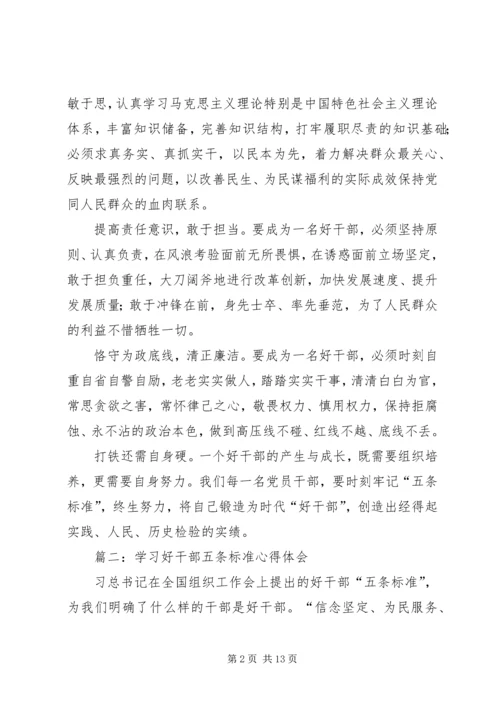 学习好干部五条标准心得体会(精选多篇).docx