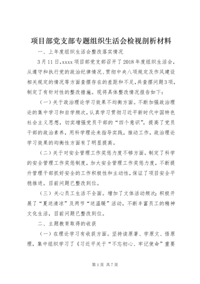 6项目部党支部专题组织生活会检视剖析材料.docx