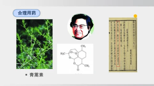 课题1 化学与人体健康 课件(共43张PPT)2024-2025学年人教版九年级化学下册