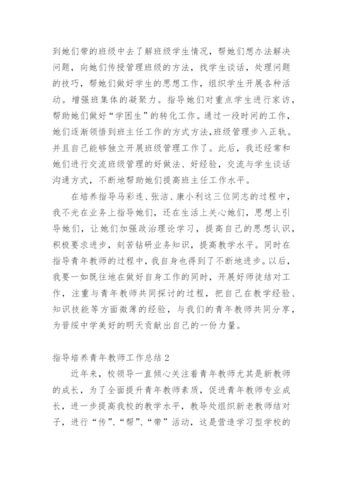 指导培养青年教师工作总结.docx