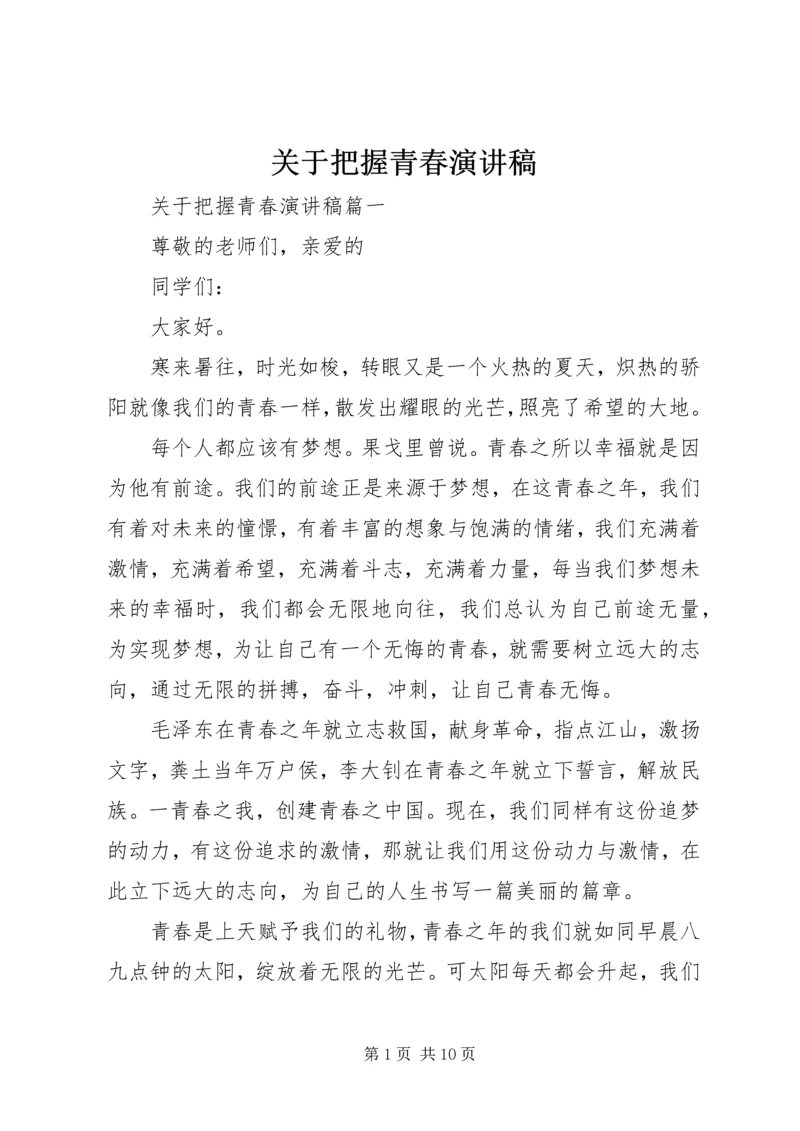 关于把握青春演讲稿 (2).docx