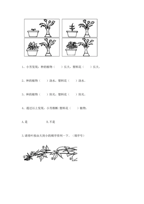 教科版科学一年级上册第一单元《植物》测试卷含答案（综合卷）.docx